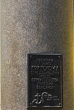 Пам'ятна табличка бердянського пам'ятника Критському (Парус)
