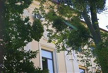 Розетка бокового фасаду бібліотеки Чернівецького університету